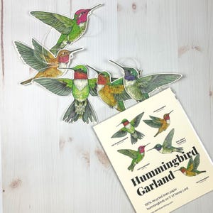 Hummingbird Illustrated Garland