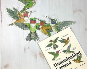 Hummingbird Illustrated Garland