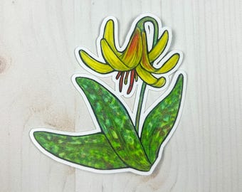 Trout Lily Matte Vinyl Sticker