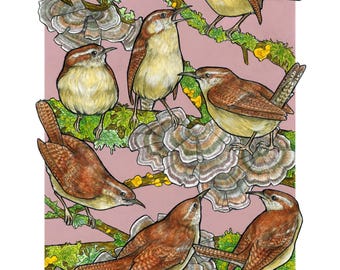 A Chime of Wrens - Archival Print