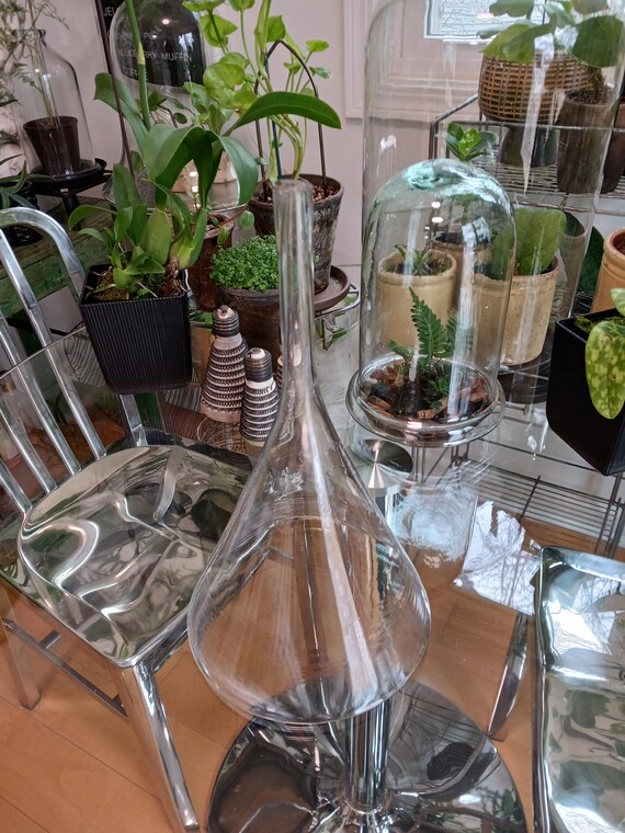 Antique French Hand Blown Wine Funnel: 19th Century Glass - Etsy
