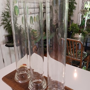3 Vintage Inverted Glass Tubes, Vintage Science Tubes, Vintage Propagator, Vintage Glass Display, Vintage Glass Cloche