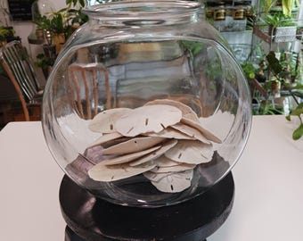 Vintage Glass Fish Bowl Terrarium: Sand Dollar Display Centerpiece