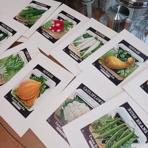10 pacotes de sementes vintage, conjunto de cartões comemorativos, conjunto de cartões de visita, conjunto de cartões em branco, cartões de visita com vegetais, cartões de papelaria vintage, pacote de sementes de vegetais