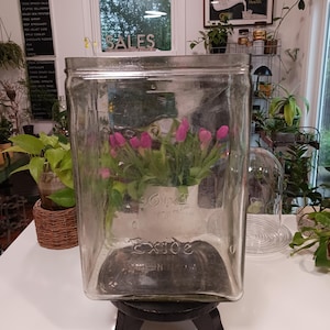 Huge Antique Exide Battery Jar, Antique Glass Battery Jar, Antique Glass Jar, Antique Terrarium, Antique Jar, Antique Glass Plant Display
