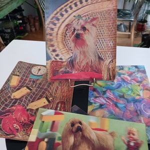 5 cartoline olografiche vintage, cartoline 3D vintage, cartoline di cani vintage, cartoline anni '60, cartoline Xograph vintage