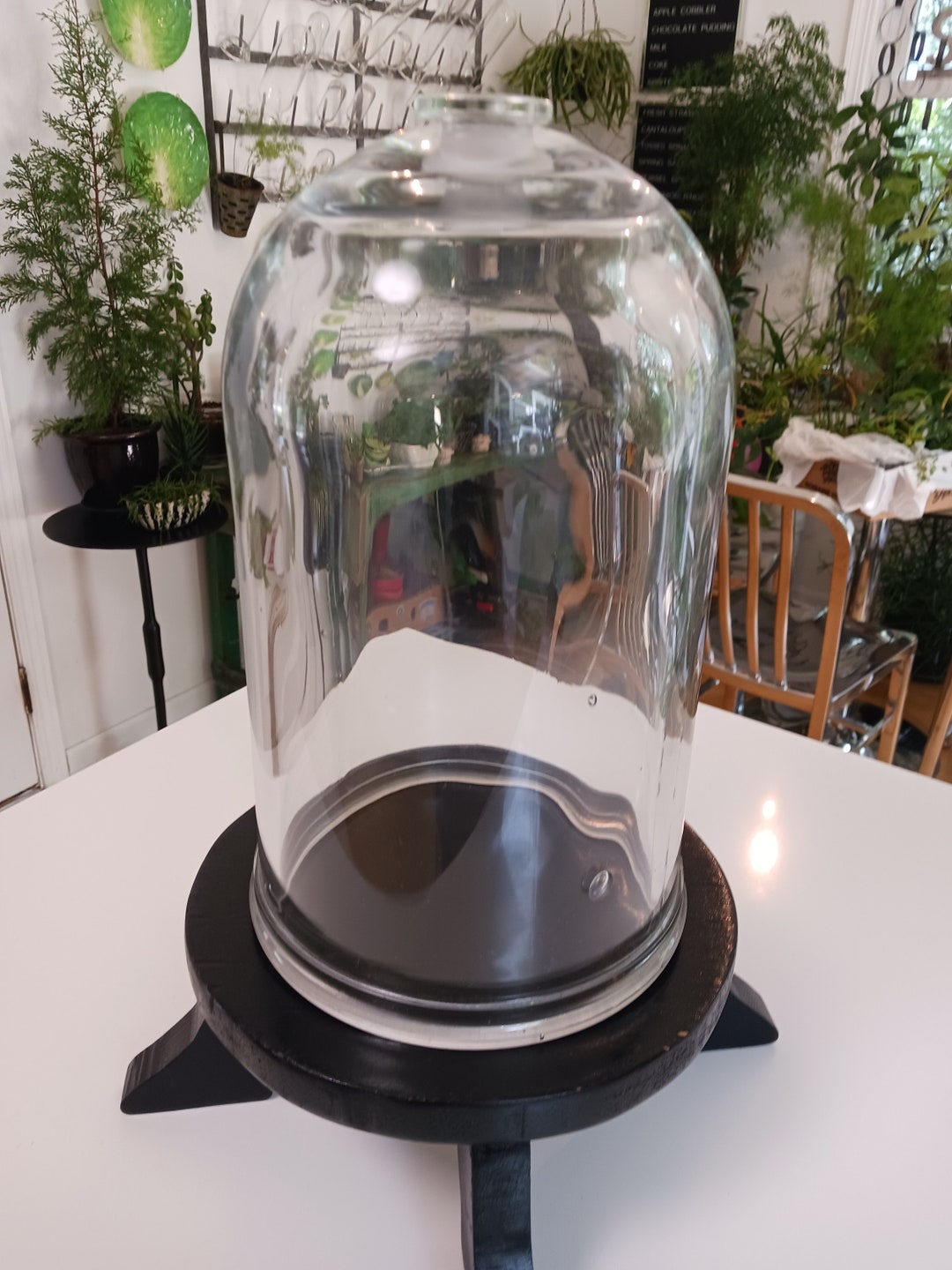 Antique Laboratory Bell Jar, Antique Bell Jar, Antique Glass Cloche