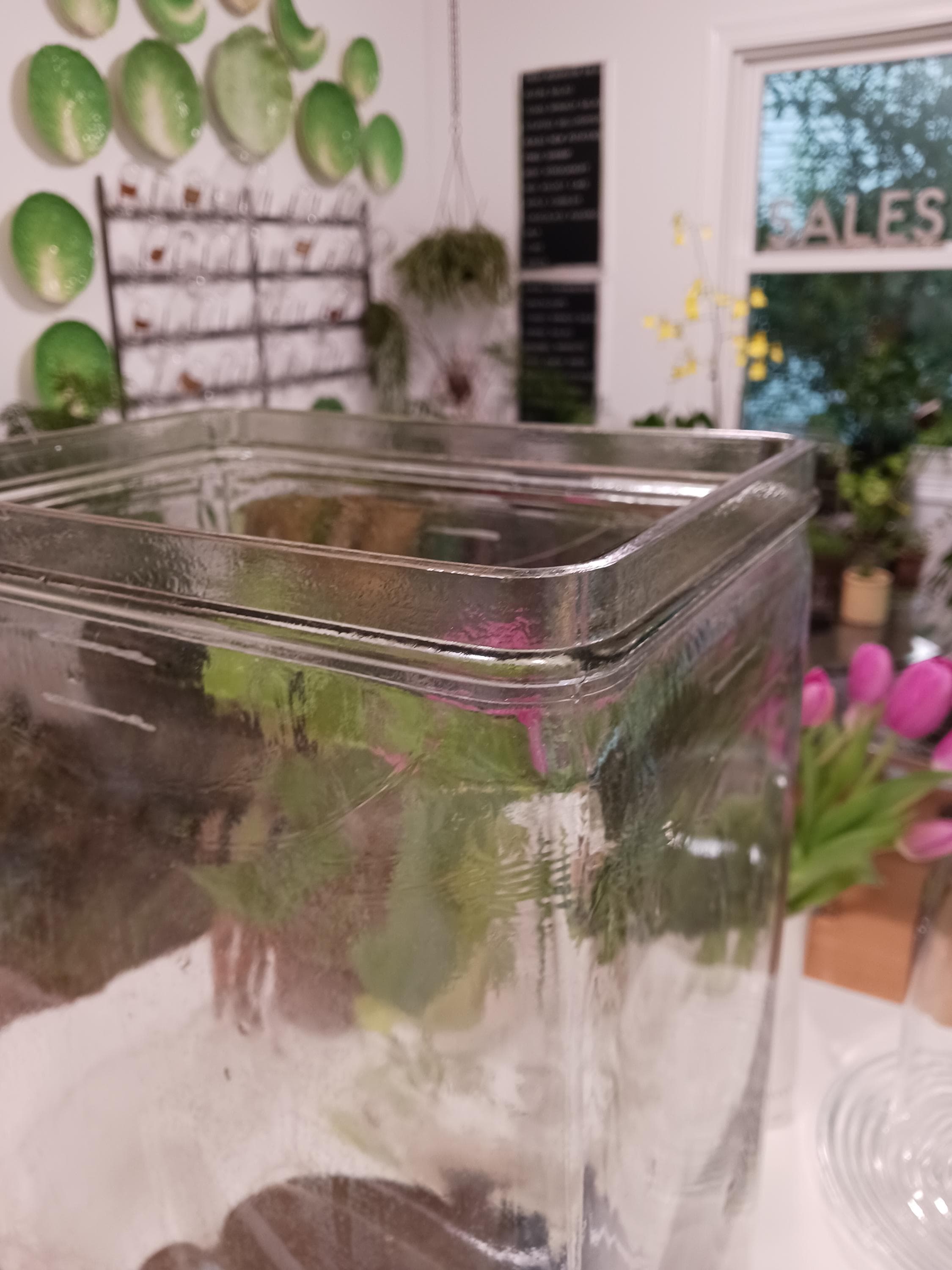 Vintage EXIDE Glass Battery Jar, Large Antique Terrarium Vase - Etsy