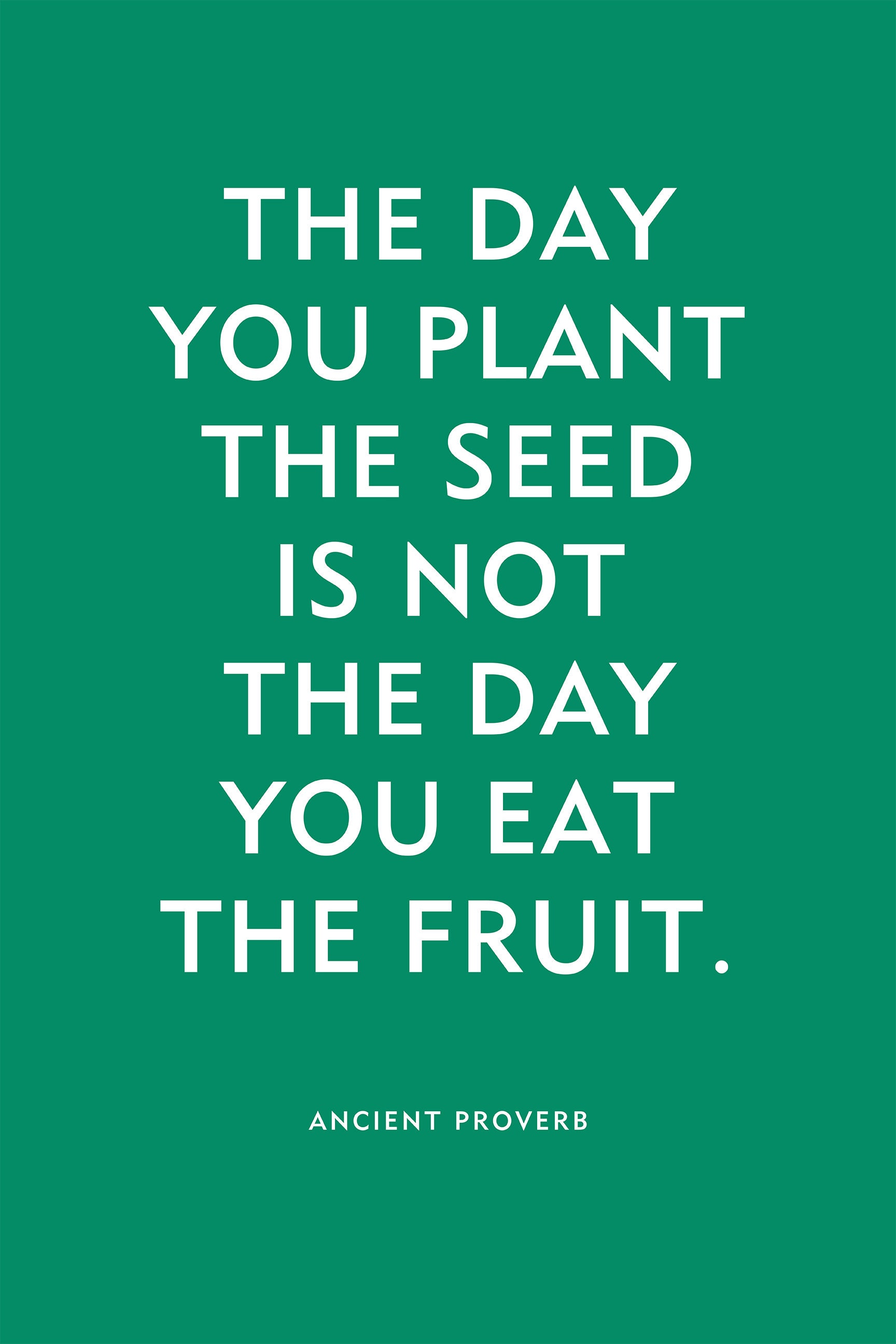 Quote Print "the Day You Plant the Seed" Ancient Motivational Proverb - Etsy