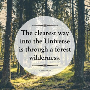 John Muir Wilderness Quote Unframed Outdoor Poster or Print
