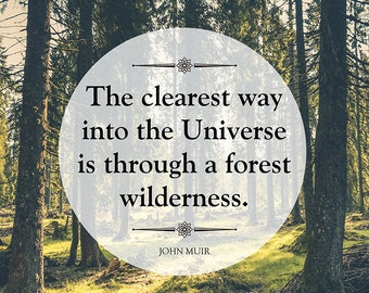 John Muir Wilderness Quote Unframed Outdoor Poster or Print