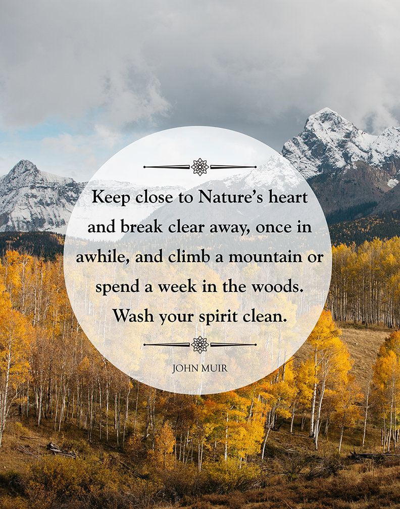 John Muir Quote \, image size:792x1008