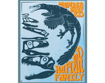 Raptor Family Skulls | Dinosaur Illustration | Fossils