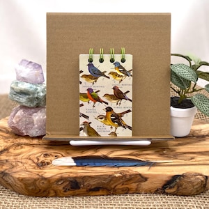 May include: A small notepad featuring illustrations of various bird species, including Indigo Bunting and Painted Bunting. The notepad is held in a cardboard display, with a small potted plant and a blue and white feather on a wooden surface.