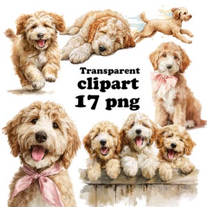 Può includere: Clipart ad acquerello con più immagini di cuccioli di Goldendoodle in varie pose. I cuccioli sono marrone chiaro e color crema, alcuni con fiocchi rosa. Il testo "Transparent clipart 17 png" è visualizzato in nero.