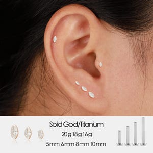 May include: Close-up of an ear adorned with multiple gold and titanium earrings. The earrings are various sizes and shapes, including small studs and marquise-shaped pieces. The text "Solid Gold/Titanium" and measurements are also visible.