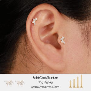 May include: Gold and titanium ear piercings with a cluster of small, clear gemstones. The piercings are shown on an ear, with additional product details including sizes 20g, 18g, 16g and lengths 5mm, 6mm, 8mm, and 10mm.