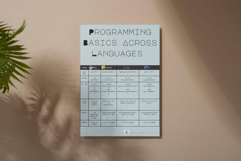May include: A light blue poster titled "PROGRAMMING BASICS ACROSS LANGUAGES" with a table comparing code snippets in different programming languages. The poster is mounted on a light brown wall, with a green plant in the upper left corner.