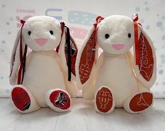 ANPASSAD sekund/högskola/kanin/examen