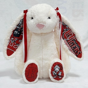 CUSTOM sec/College/bunny/Graduation