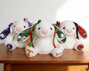 CUSTOM sec/College/bunny