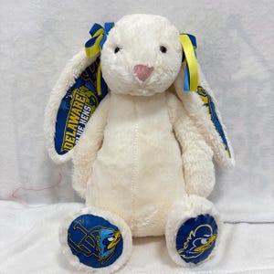 CUSTOM sec/college/bunny/graduation