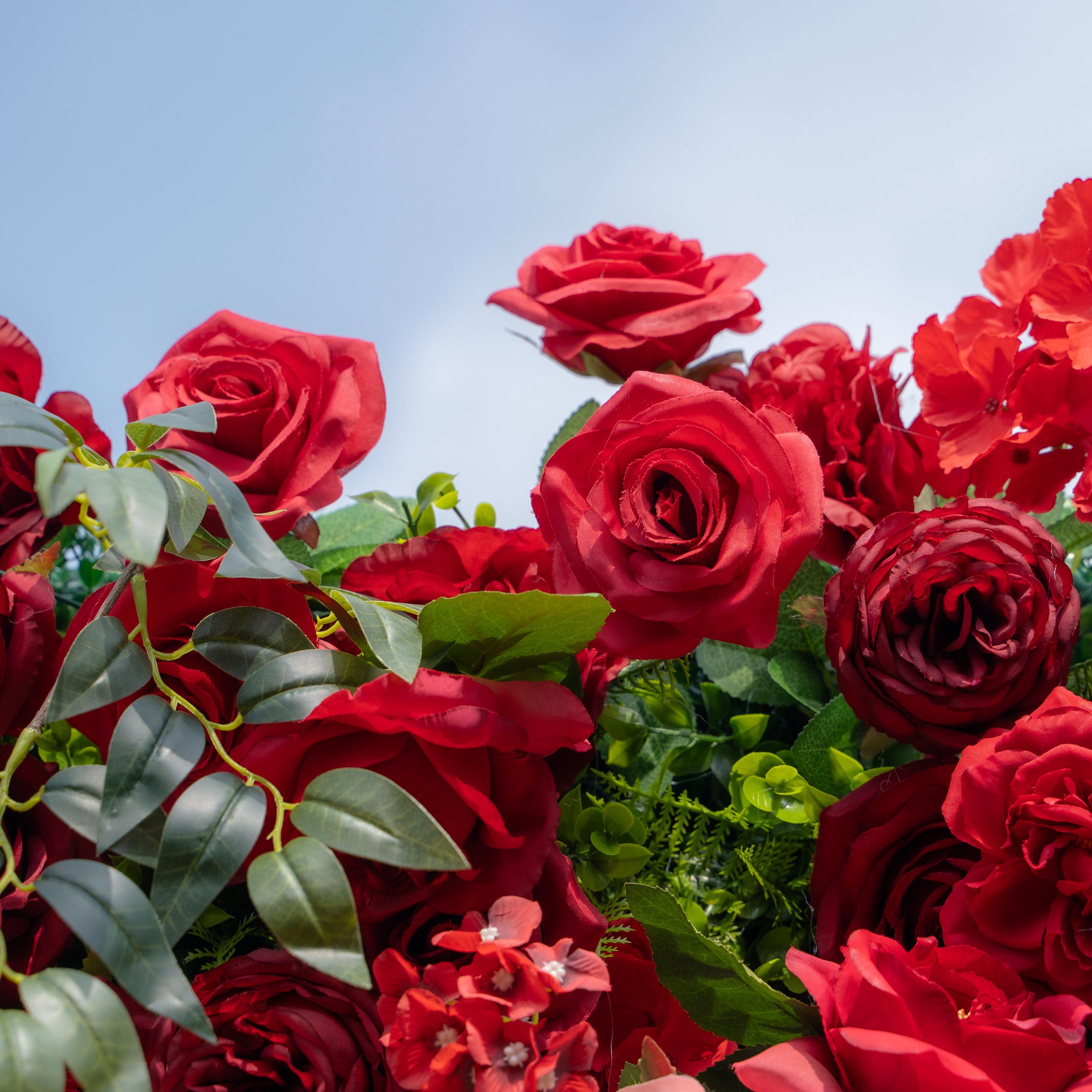 Big Roses Backdrop Burgundy Red Rose Flower Wall Backdrop: 8x8ft Silk Wedding Decor ...