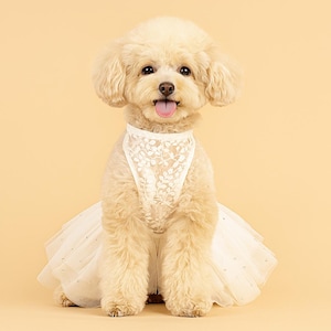 formal dresses for dogs QBLEEV Dog Wedding Dress for Bride Formal White Pearl Wedding Skirt and Veil for Small and Medium Dogs and Cats-M