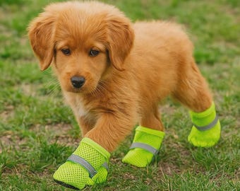 Botas de malla para perros, antideslizantes, de lino transpirable, juego de 4