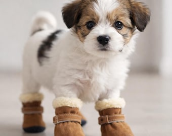 4 stuks waterdichte winterschoenen voor huisdieren | Warme Cat & Dos-pootbeschermers | Antislip sneeuwkleding voor puppy's