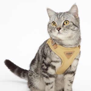 Pode incluir: Um gato cinza tigrado usando uma coleira mostarda com detalhes em couro marrom. A coleira tem a marca "DUOMM" na frente. O gato está olhando para cima e para a esquerda em um fundo branco.
