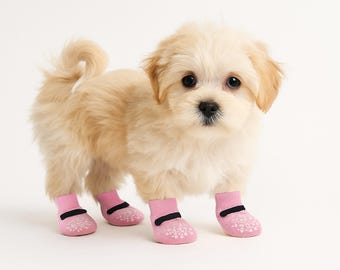 Chaussettes en coton pour animaux de compagnie, jolis protecteurs de pattes, semelles antidérapantes