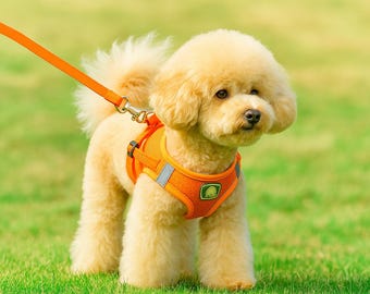 Adjustable Dog Harness: Breathable Mesh, No-Pull Design, Reflective Trim