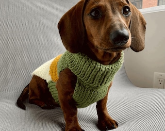 Easy Crochet Dog Sweater Pattern, Beginner Pet Clothes (PDF Download)