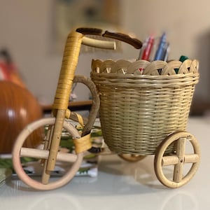 Rattan Tricycle Planter Basket, Cottagecore Farmhouse Decor, Rustic Wicker Desk Organizer, Boho Succulent Holder Pen Pot Gift