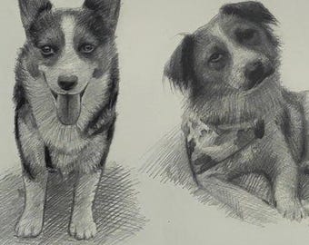 Custom Pet Portrait from Photo, Hand-Drawn Pencil Drawing, Pet Memorial Gift