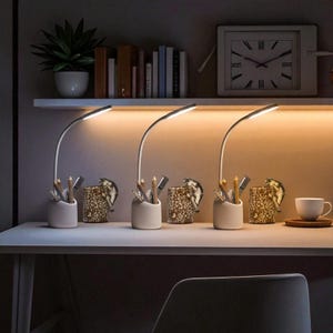 Rechargeable LED Desk Lamp, 3 Color Modes, Flexible Gooseneck, White (35 cm)