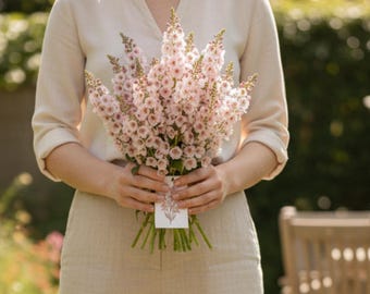 Southern Charm Mullein Seeds, Apricot, Peach Shades, TC0013