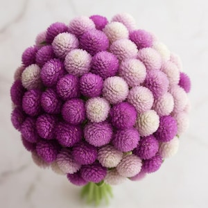 May include: A spherical bouquet of gomphrena flowers, showcasing a gradient of colors from deep purple to pale lavender and white. The tightly packed, globe-shaped blooms are held together by green stems, creating a visually striking floral arrangement.