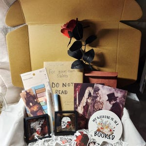 Paranormal Horror Fiction Book Box, Gothic Occult Mystery Items Gift Book Lovers