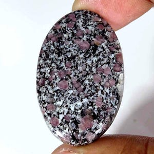 May include: An oval-shaped cabochon gemstone featuring a speckled pattern of deep pink, black, and white mineral inclusions. The polished surface displays a high-gloss finish with a distinct mottled texture throughout the entire stone structure.