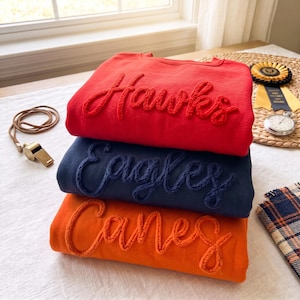 May include: A stack of three crewneck sweatshirts in red, navy blue, and orange. Each sweatshirt features raised, textured, cursive lettering on the front, reading Hawks in red, Eagles in navy blue, and Canes in orange, with a consistent design.