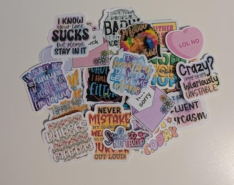 Snarky Matte Stickers - Sarcastic Humor Decals