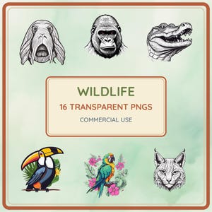 Prehistoric Creature Encounters Clipart Bundle, Flat Vector PNG, Transparent Background, Commercial Use, Sublimation Tumbler