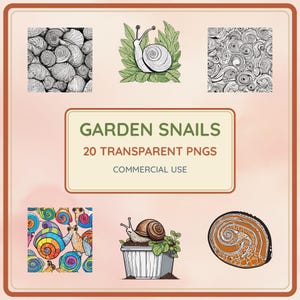 Può includere: Una collezione digitale di 20 illustrazioni di lumache da giardino in formato PNG trasparente. L'immagine mostra motivi di lumache in bianco e nero, una lumaca su foglie verdi, un motivo colorato, una lumaca in un vaso e una sezione trasversale di conchiglia.