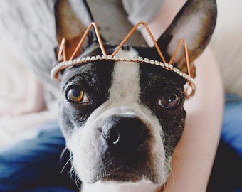 Dog Crown - Hat for Dogs - Pet Jewelry