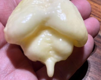 White Moruga Scorpion