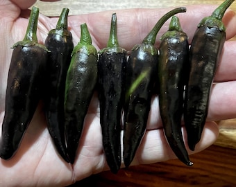 Purple Cayenne Pepper Seeds