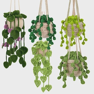 Hanging Plant Hook Kit