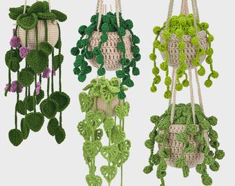 Hanging Plant Hook Kit